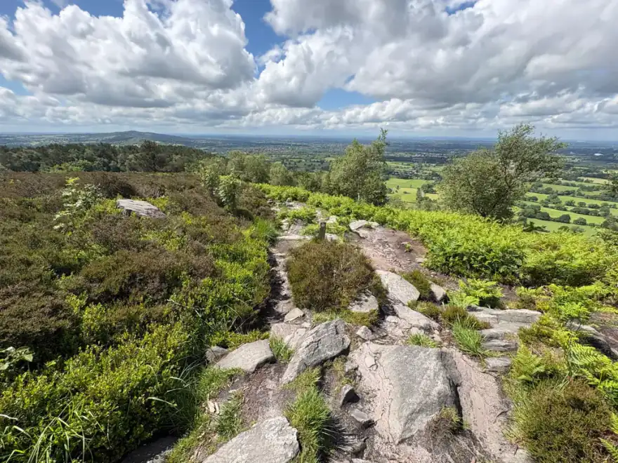 View over green Cheshire countryside from a hilltop path
