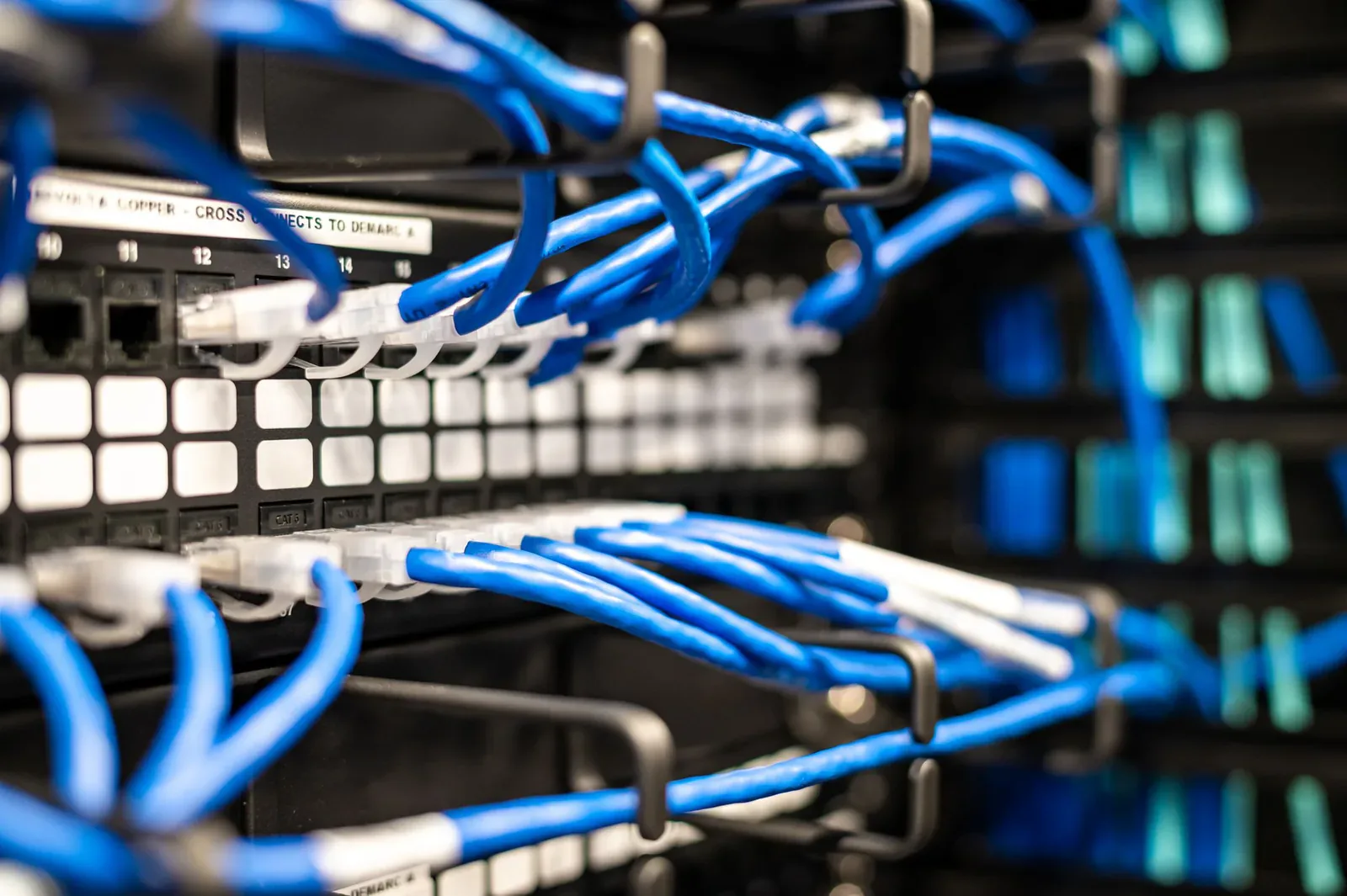 Blue network cables plugged into a patch panel in a server cabinet